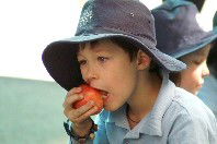 St Michael's Primary School Stanmore - Education QLD 4