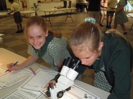 Berowra Christian Community School - Education QLD 5