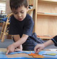 Forestville Montessori School - Education QLD 5