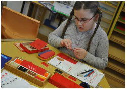 Sutherland Shire Montessori School - Education QLD 5