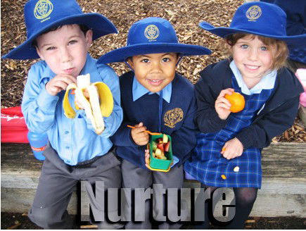 St Patrick's Primary School Sutherland - Education QLD 3