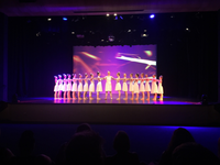 Dianne McLellan Dancers