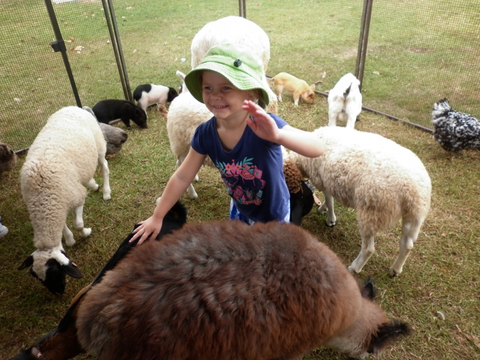 Eastside Little Learners Child Care Centre - Education QLD 1