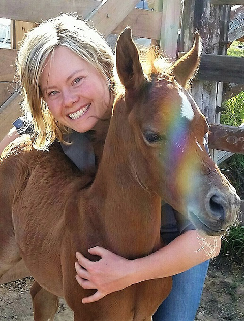 Grafton Veterinary Clinic - Education QLD 2