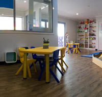 Shining Little Stars Academy