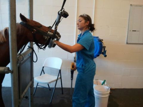 Pacific Vetcare - Education Brisbane 9