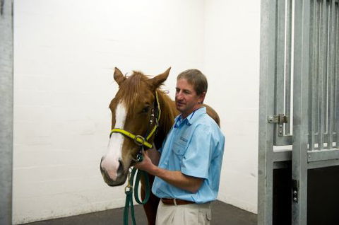 Pacific Vetcare - Education Brisbane 2