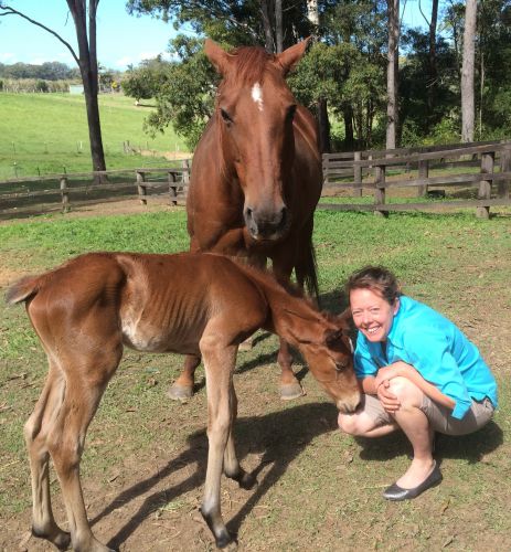 Pacific Vetcare - Education Brisbane 5