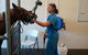 Pacific Vetcare - thumb 9