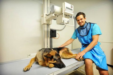 Pacific Vetcare - Education QLD 0