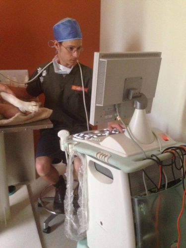 Pacific Vetcare - Education QLD 1