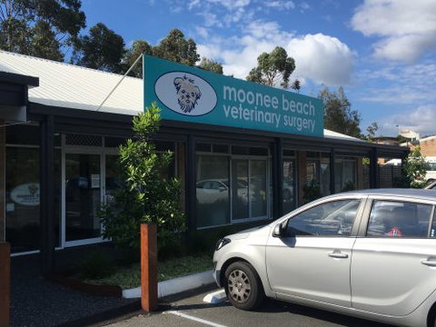 Moonee Beach Veterinary Surgery - Education QLD 0