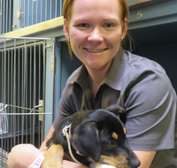 Grafton Veterinary Clinic - Education QLD