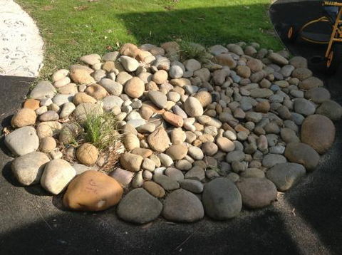 Shine Early Learning Centre - Education QLD 0