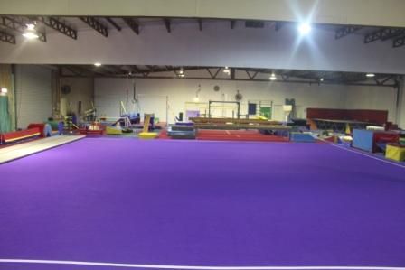 Scallywaggs Gymnastics - Education QLD 0