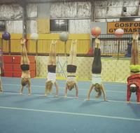 Gosford Gymnastics - Education Brisbane