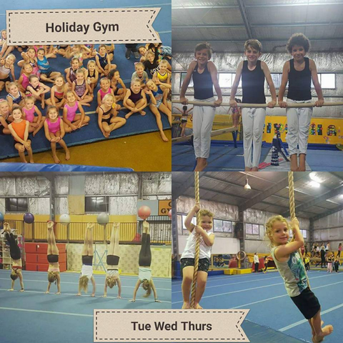 Gosford Gymnastics - Education QLD 4