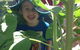 Central Gardens Childcare - thumb 1
