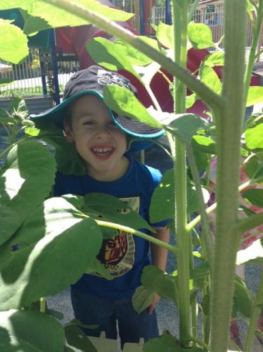 Central Gardens Childcare - Education Gold Coast 1