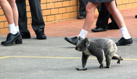 St Philip’s Christian College - Education QLD 2