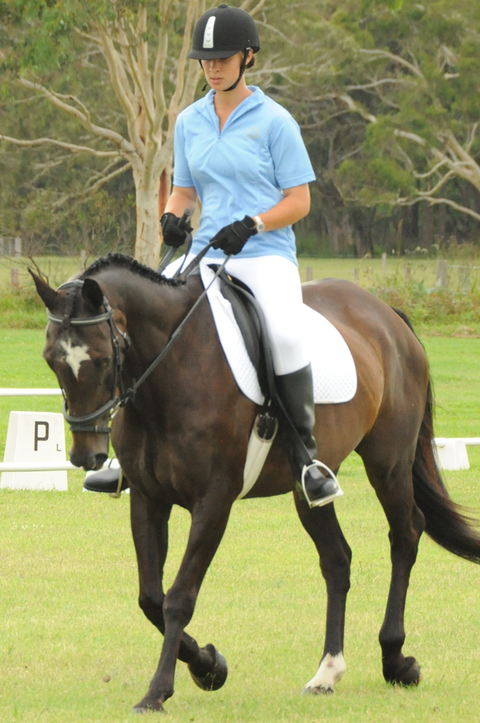 Encantador The Riding School - Education Brisbane 3