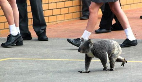 St Philip’s Christian College - Education Brisbane 2