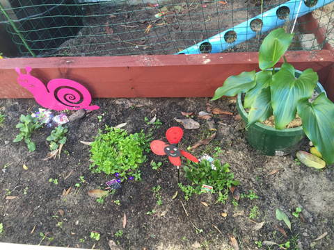 TLC Early Learning Centre - Education Brisbane 3