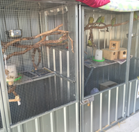 TLC Early Learning Centre - Education Brisbane