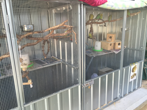 TLC Early Learning Centre - Education QLD 0