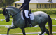 Encantador The Riding School - thumb 1