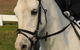 Encantador The Riding School - thumb 2
