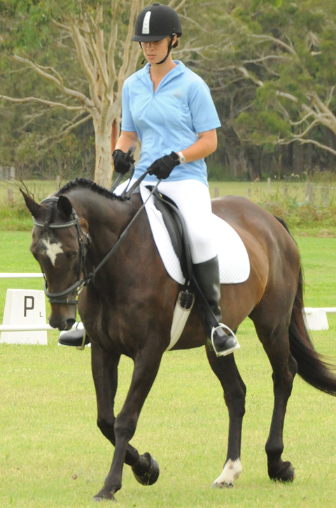 Encantador The Riding School - Education QLD 3