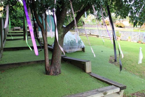 Blackbutt NSW Education QLD