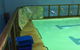 Shane Dowel’s Swim School - thumb 1