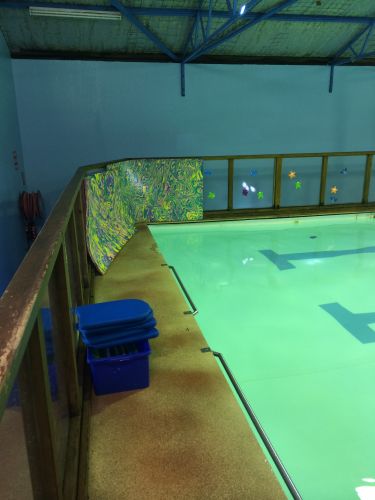 Shane Dowel’s Swim School - Education Gold Coast 1