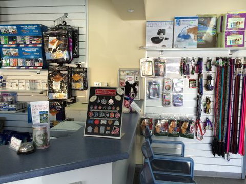 Albion Park Veterinary Hospital - Education QLD 1