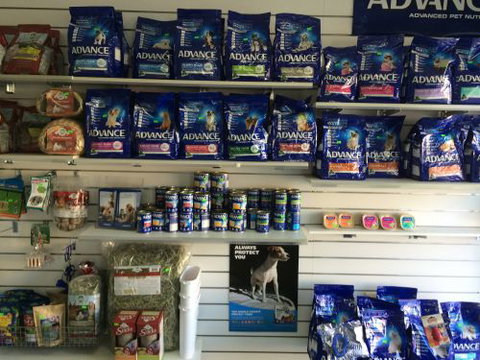 Albion Park Veterinary Hospital - Education QLD 3