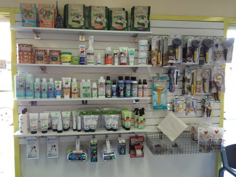 Albion Park Veterinary Hospital - Education QLD 4