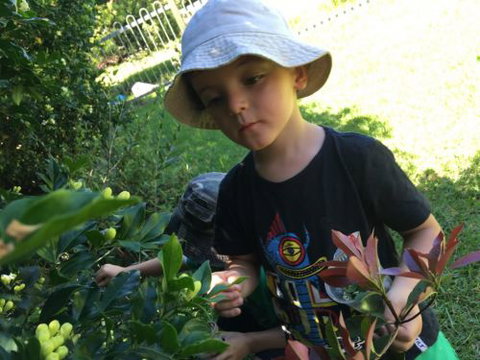 Kiama Kids Pre-School & Childcare Centre - Education QLD 0