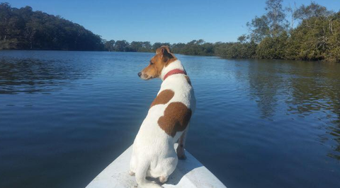 Australis Canoes & Kayaks - Education QLD 0