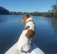 Australis Canoes  Kayaks - Education QLD