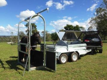 Tamworth Veterinary Hospital - Education QLD 1