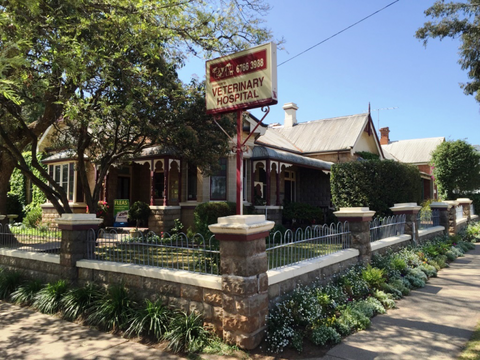 Tamworth Veterinary Hospital - Education QLD 2