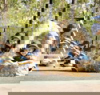 Good Shepherd Lutheran College NT - Education QLD