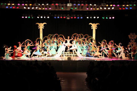 Newcastle Dance Academy - Education QLD 0