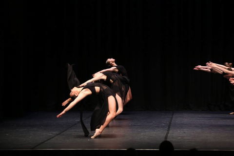 La Vive Studios - Education QLD 3