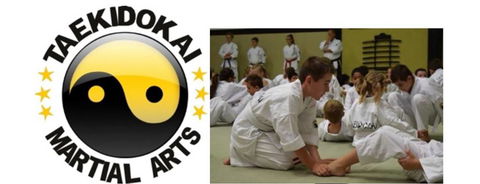 Taekidokai Martial Arts - Education QLD 2