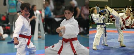 Matsumoto Karate Academy - Education QLD 2