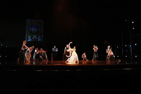 National College Of Dance - Education Gold Coast 8