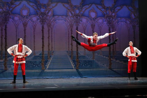 National College Of Dance - Education Gold Coast 10